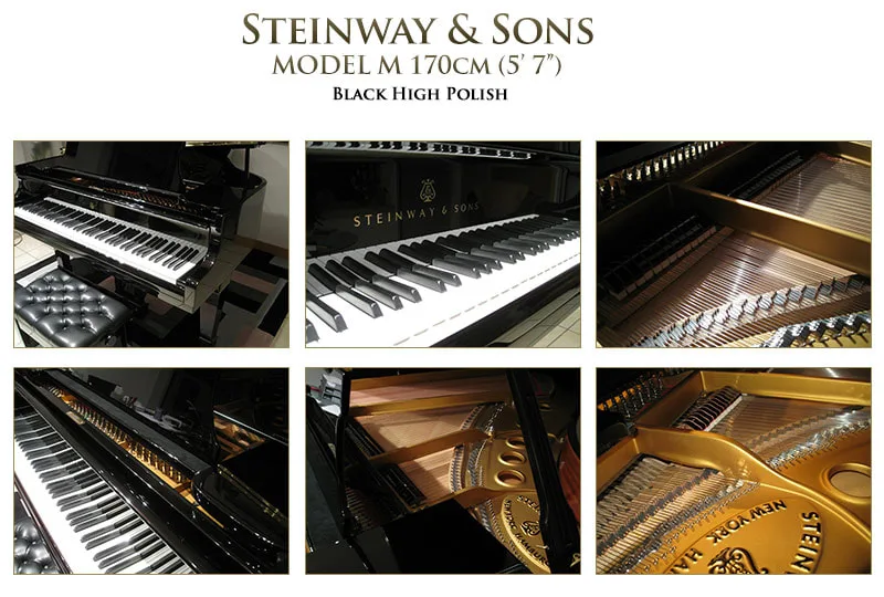 Steinway M - Fully Restored 5'7" Ebony Polish detail 1