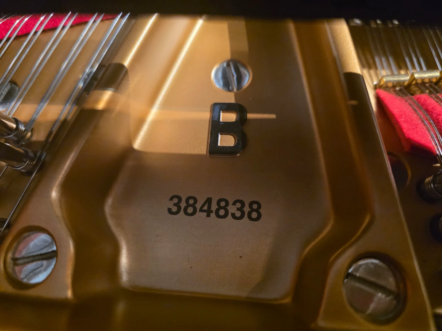 Pre-Owned Steinway Model B (Meyer Restoration) detail 3