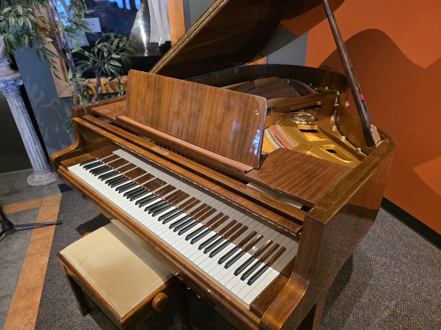 Used Petrof 6'4" Concert Grand Walnut Polish detail 1