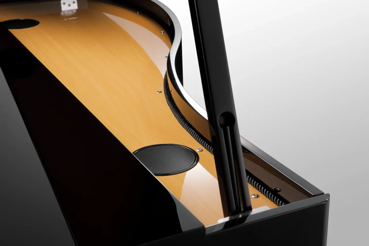 Kawai DG30 digital soundboard and speaker