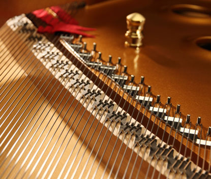 Bridge and strings inside a Shigeru Kawai grand piano
