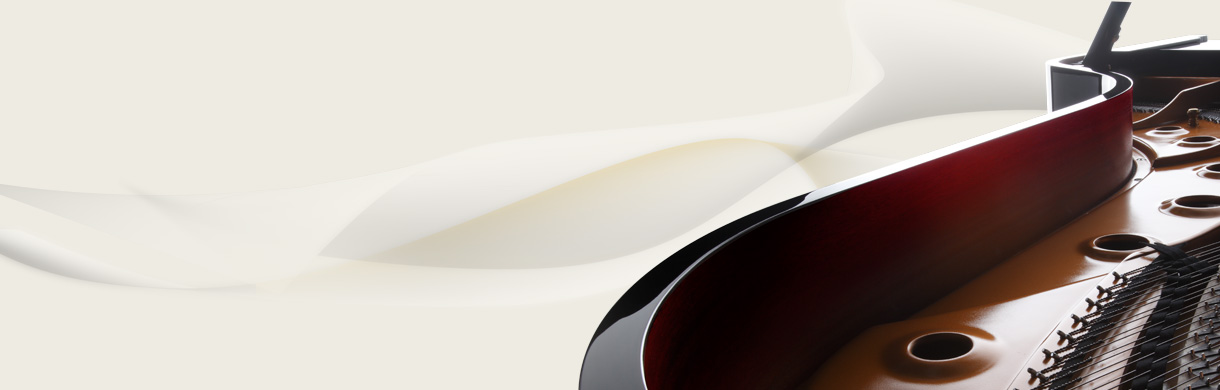 Shigeru SK-EX 9'1" detail 5