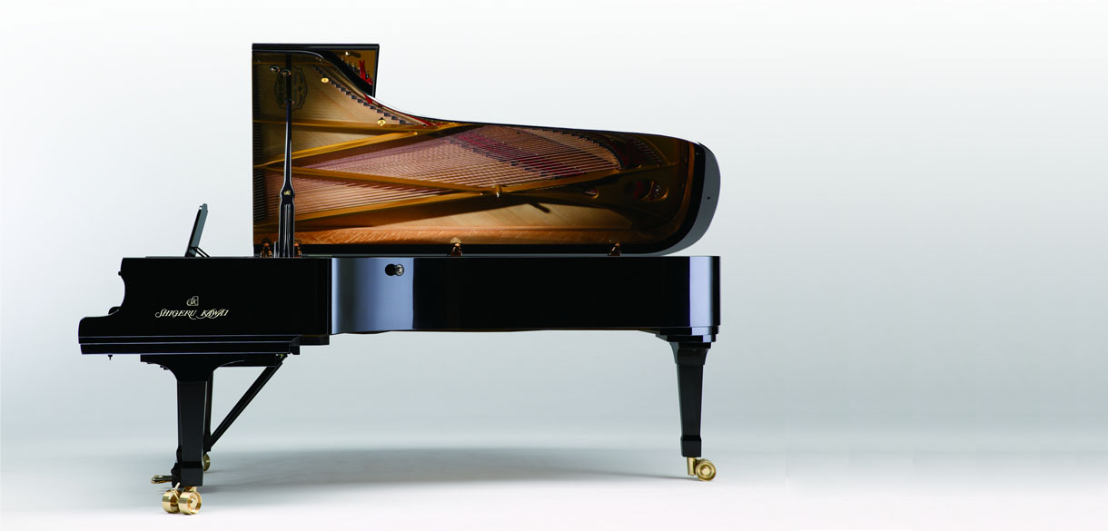 Shigeru SK-EX 9'1" detail 2