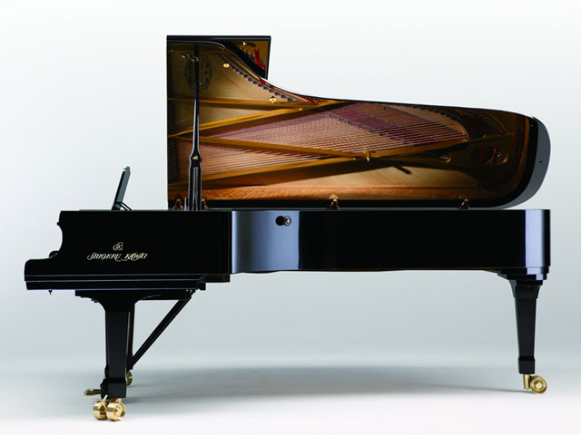 Shigeru SK-EX 9'1" detail 1