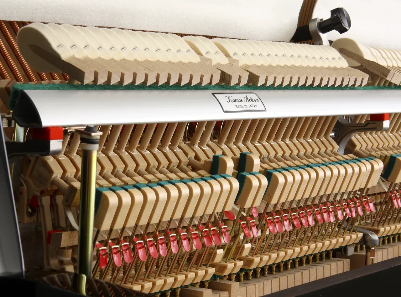 Internal action mechanism of the Kawai K-15