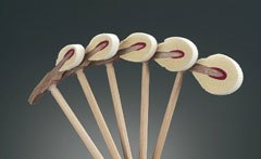 Five piano hammers with felt heads arranged in a row.