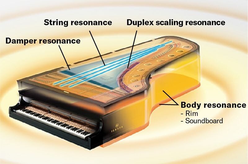 A diagram showing the resonance points of an acoustic grand piano.