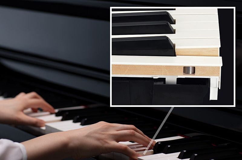 Clavinova key mechanism cutaway showing the internal key structure.