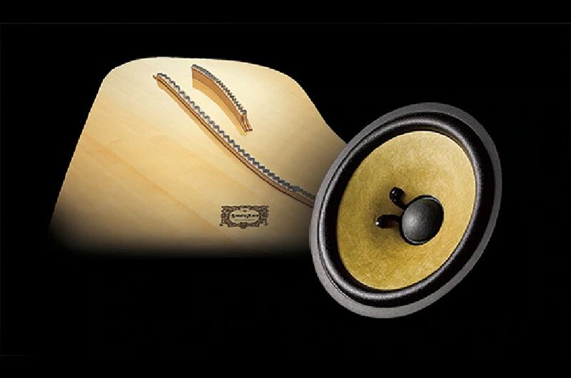 Close-up of a speaker cone beside a piano soundboard.
