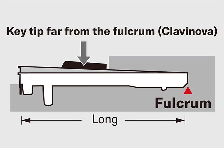 Diagram showing the Clavinova key fulcrum and leverage.