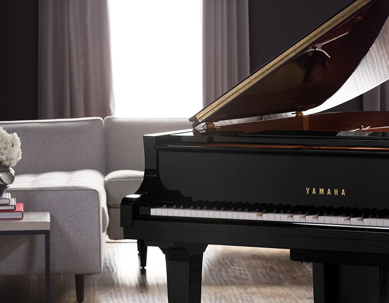 Technologically Discreet, Acoustically Elegant image
