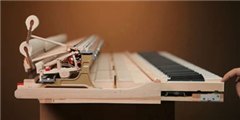 Close-up of the internal action mechanism of a Yamaha piano