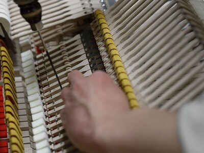 Technician adjusting the action of a Yamaha grand piano.