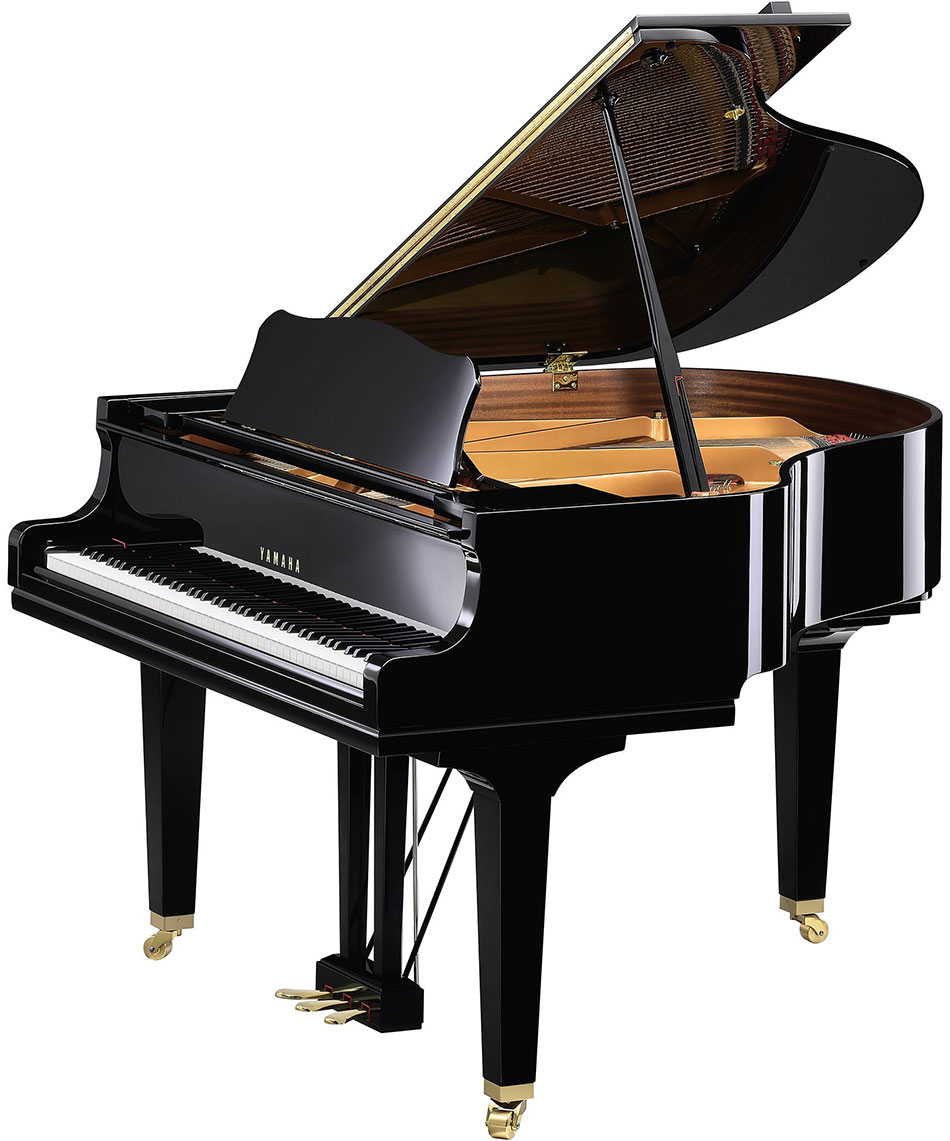 Yamaha GCB 5' — Ebony Polish