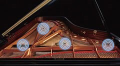 Grand piano interior with resonance icons.