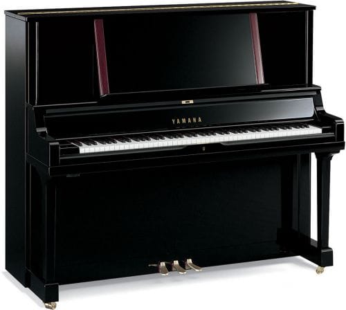 Yamaha YUS5 52" — Ebony Polish