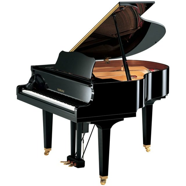 Yamaha DGB1K ENST — Ebony Polish
