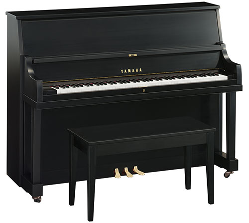 Yamaha P22 45" — Ebony Satin