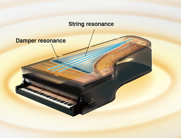 A diagram depicting Yamaha Virtual Resonance Modeling