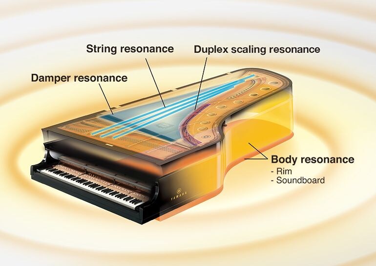 Illustration of resonance throughout a grand piano.