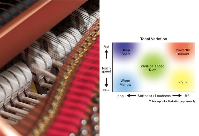 Piano action and tonal variation illustration.
