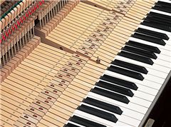 Yamaha upright piano keyboard action with keys and action parts.